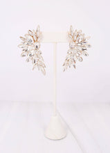 Load image into Gallery viewer, Barry Stone Statement Earring CLEAR.
