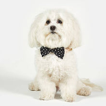 Load image into Gallery viewer, Pet Bow Ties - Black Polka Dot
