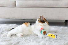 Load image into Gallery viewer, Taco Cat Toys, Set of 2.
