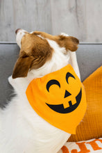 Load image into Gallery viewer, Pumpkin Dog Halloween Bandana, M/L.
