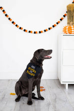 Load image into Gallery viewer, Trick or Treat Dog Halloween Bandana, S/M.
