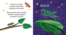 Load image into Gallery viewer, The Very Lonely Firefly&#39;s Nighttime Friends: A Touch-and-Feel Book
