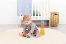 Load image into Gallery viewer, Learning Kit for Babies 6-12 Months, Montessori Learning Kit.
