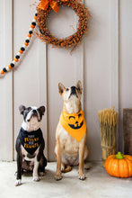 Load image into Gallery viewer, Pumpkin Dog Halloween Bandana, M/L.
