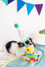 Load image into Gallery viewer, Birthday Pup S/M Bandana Hat Set.
