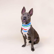 Load image into Gallery viewer, Striped Dog Bandana.
