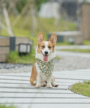 Load image into Gallery viewer, Winter Berry Dog Bandana.
