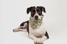 Load image into Gallery viewer, Winter Berry Dog Bandana.
