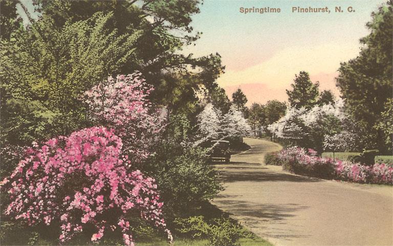 Spring in Pinehurst Magnet