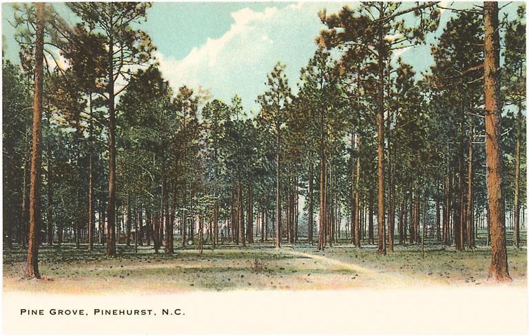 Pine Grove, Pinehurst Magnet