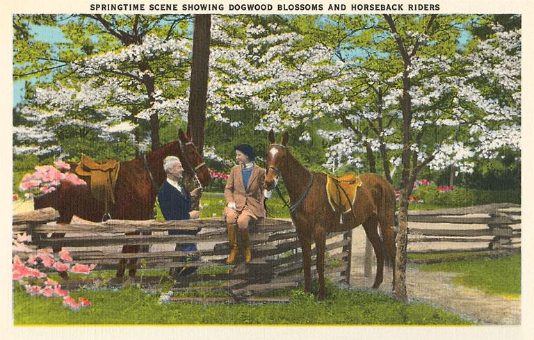 Dogwood Blossoms & Horses Magnet