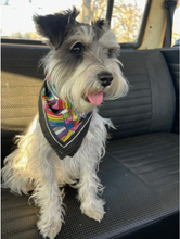 Load image into Gallery viewer, 14&quot; Pocket Pride Bandana.
