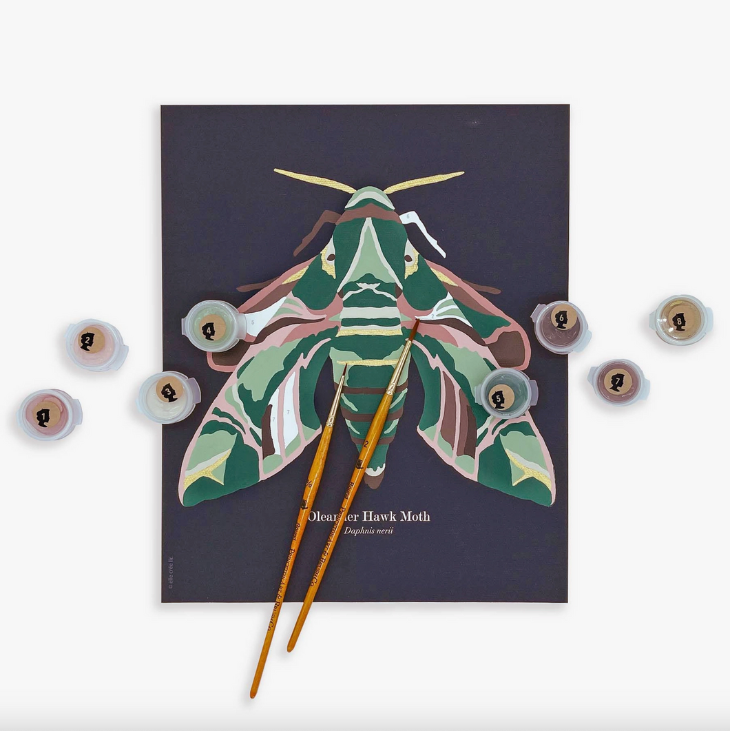 Oleander Hawk Moth Paint-by-Number Kit