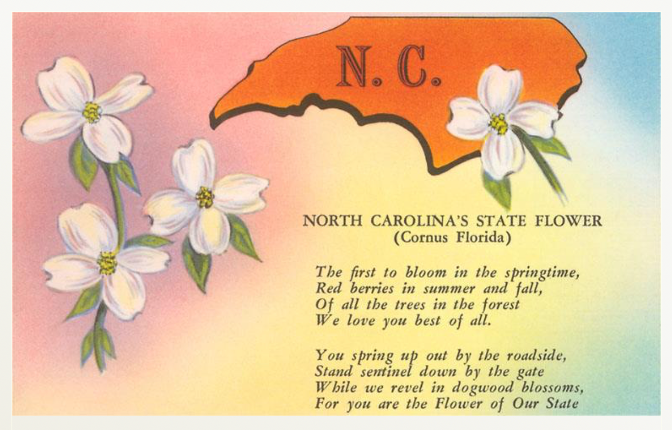 North Carolina Map and Flower Magnet