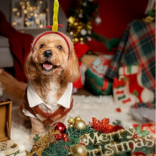 Load image into Gallery viewer, Pet Reindeer Headband
