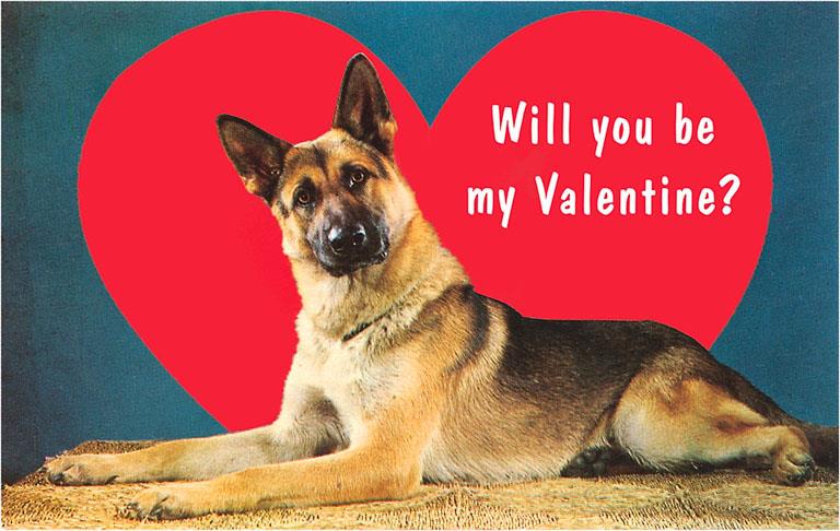 Quizzical German Shepherd, Will You Be My Valentine? Card