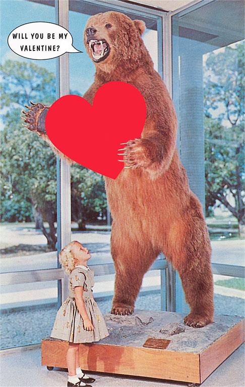 Will You Be My Valentine, Girl and Grizzly Bear Card