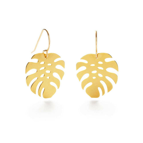 Monstera Drops.