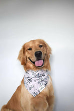 Load image into Gallery viewer, Latte Dog Bandana.
