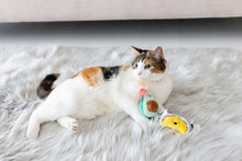 Load image into Gallery viewer, Taco Cat Toys, Set of 2.
