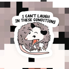 Load image into Gallery viewer, Live Laugh in These Conditions Sticker
