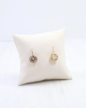 Load image into Gallery viewer, Ester Round CZ Fish Hook Earring WR Gold
