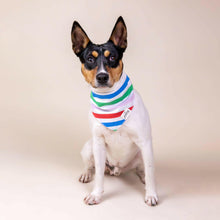 Load image into Gallery viewer, Striped Dog Bandana.
