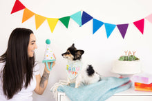 Load image into Gallery viewer, Birthday Pup S/M Bandana Hat Set.
