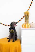 Load image into Gallery viewer, Trick or Treat Dog Halloween Bandana, S/M.
