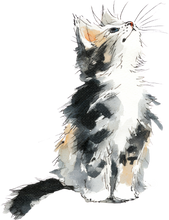 Load image into Gallery viewer, Cat Watercolor Ornaments
