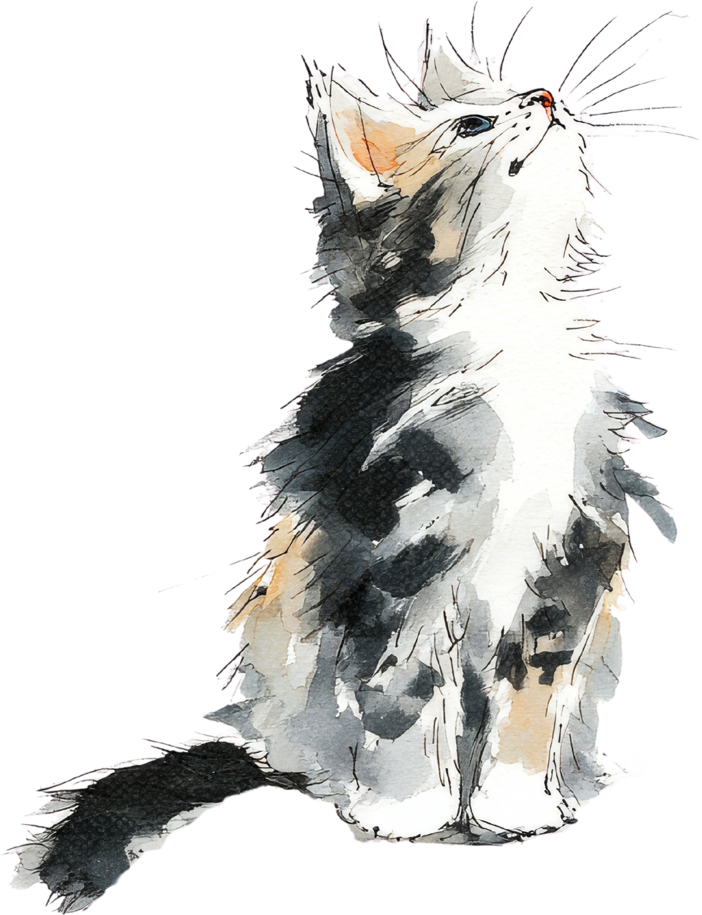 Cat Watercolor Ornaments