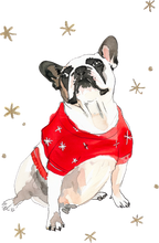 Load image into Gallery viewer, Dog Ornaments
