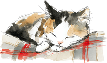 Load image into Gallery viewer, Cat Watercolor Ornaments
