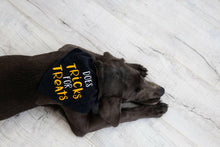 Load image into Gallery viewer, Trick or Treat Dog Halloween Bandana, S/M.
