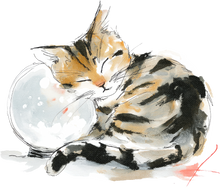 Load image into Gallery viewer, Cat Watercolor Ornaments
