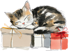 Load image into Gallery viewer, Cat Watercolor Ornaments

