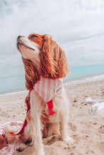 Load image into Gallery viewer, Cabana Blush Pink Dog Bandana.
