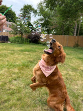 Load image into Gallery viewer, BubbleLick Pets Peanut Butter Swirl
