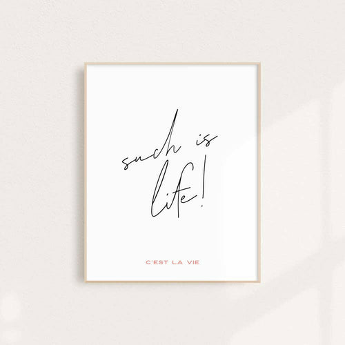 Such is Life Modern Art Print.