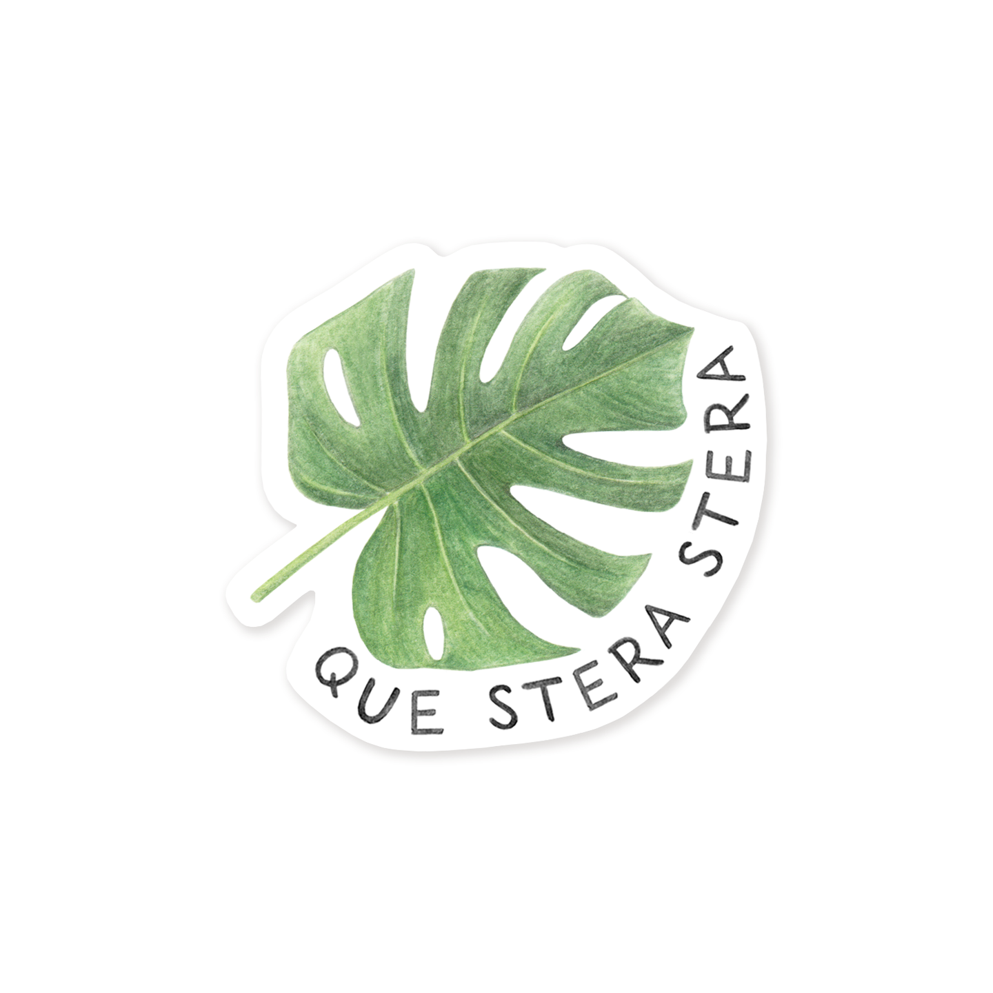 Que Stera Stera Plant Sticker.