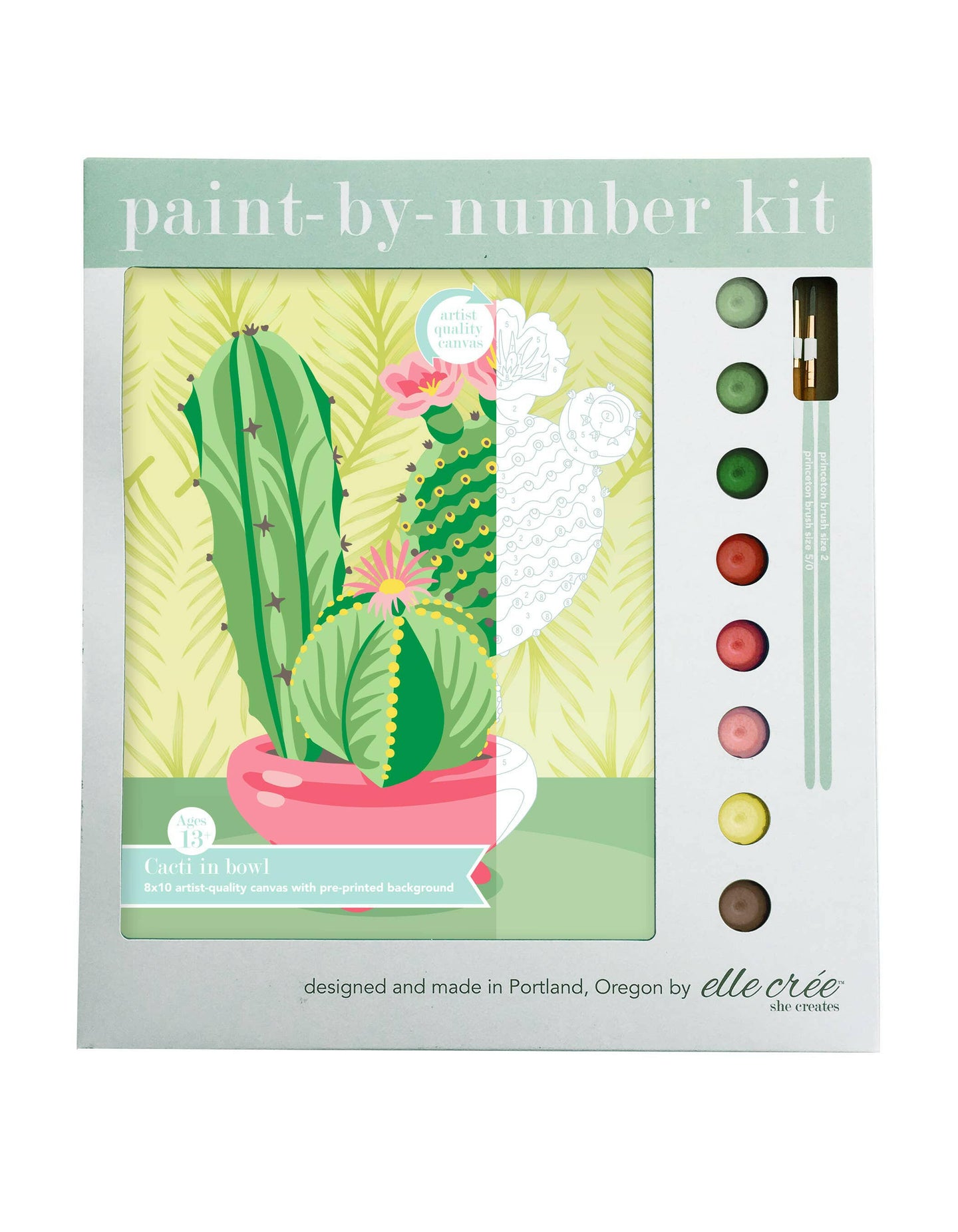 Cacti in Bowl Paint-by-Number Kit.