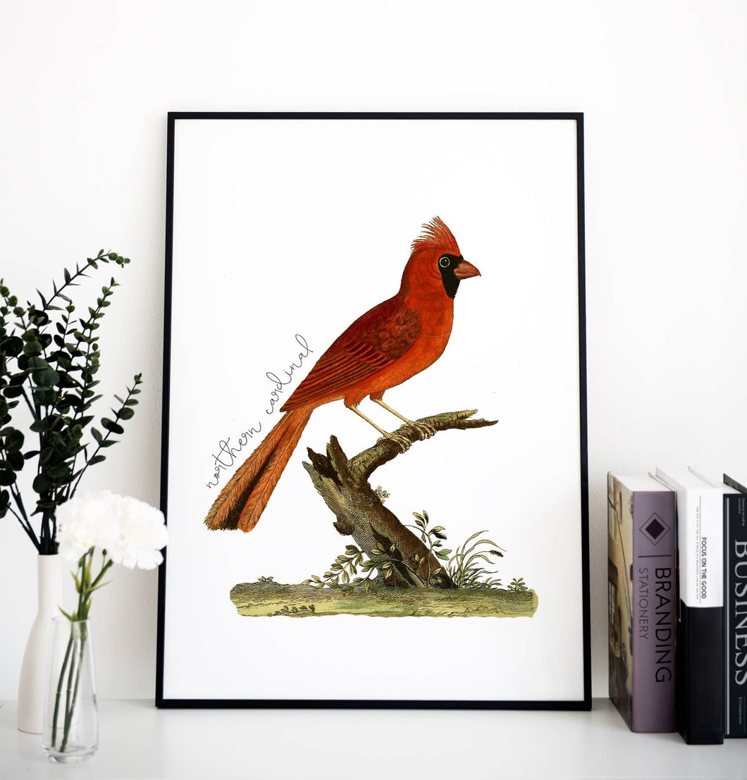 North Carolina Cardinal State Bird Print