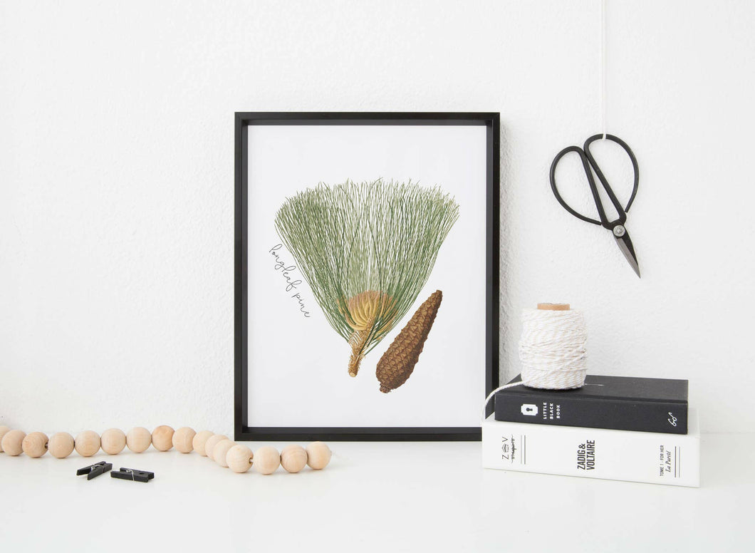Long Leaf Pine North Carolina state tree art print