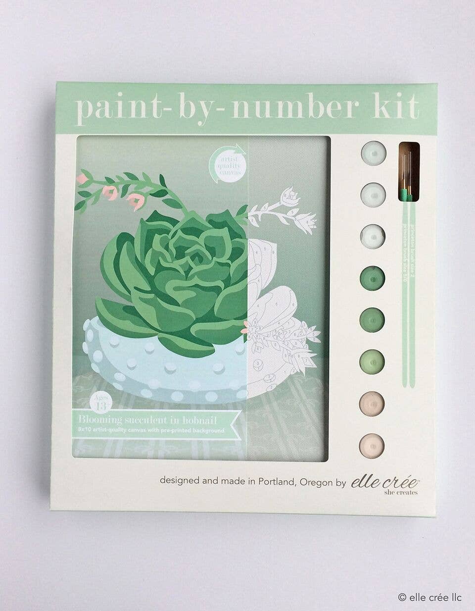 Blooming Succulent in Hobnail Bowl Paint-by-Number Kit