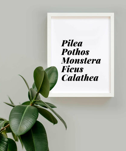 Plant Lover List.