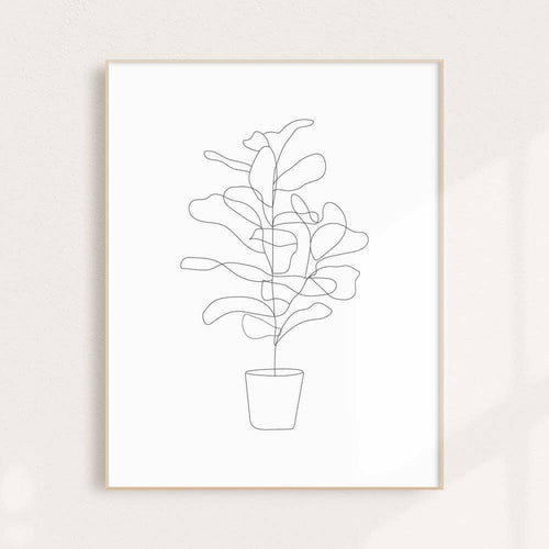 Fiddle Fig Illustration Wall Art Print.