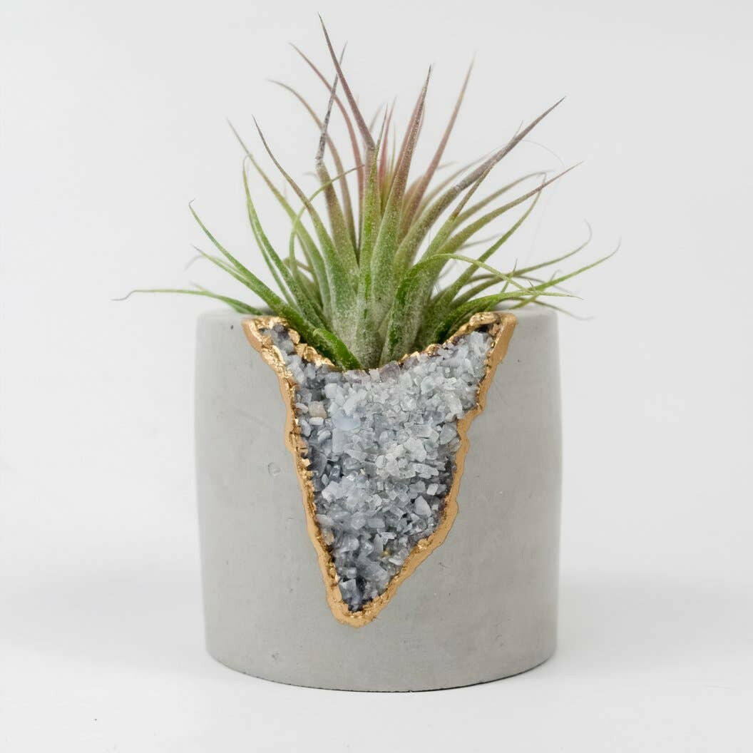 Blue Calcite Shooter Planter.