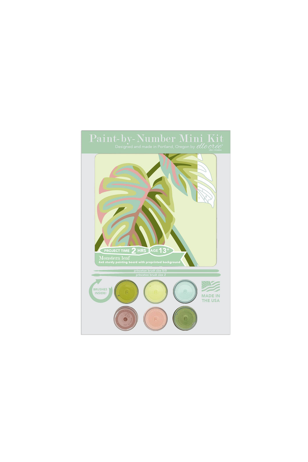 Monstera Leaves MINI Paint-by-Number Kit