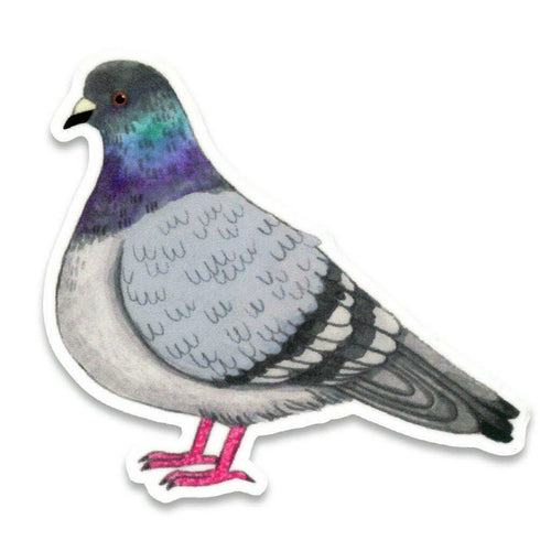Pigeon Sticker.