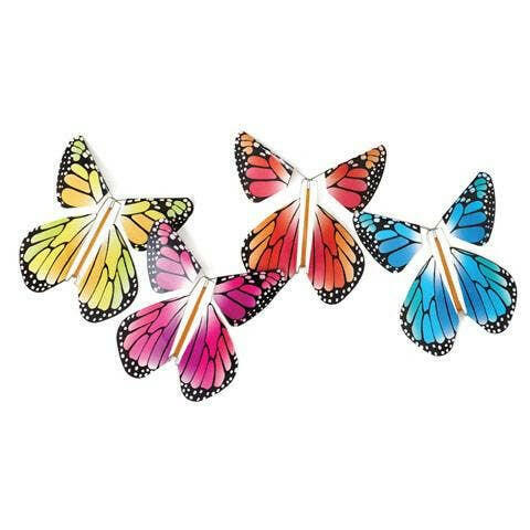 Magic Flying Butterfly Rainbow.